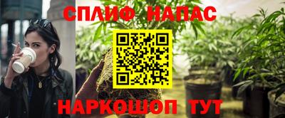jwh Новозыбков