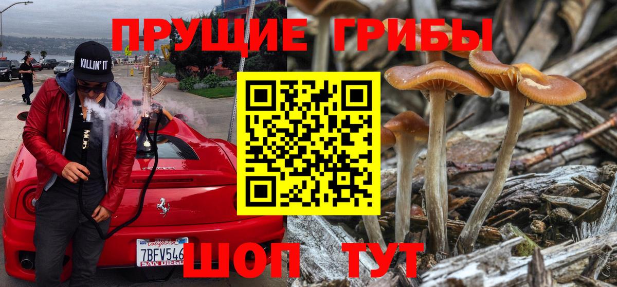 Псилоцибиновые грибы мицелий Старая Купавна
