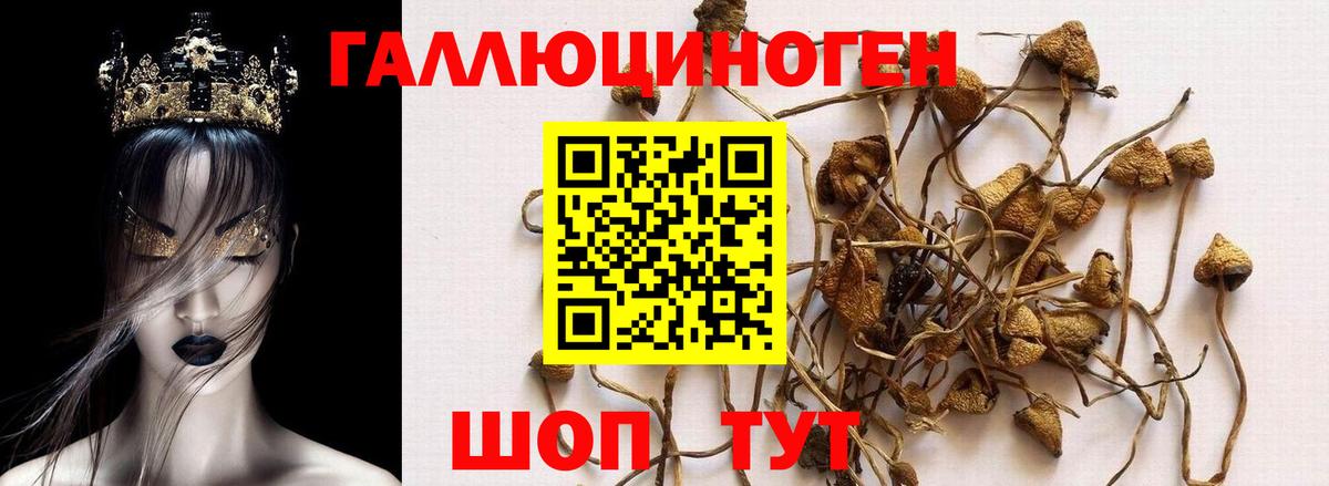 Псилоцибиновые грибы MAGIC MUSHROOMS  Галлюциногенные грибы прущие грибы  Вход с VPN  Старая Купавна 